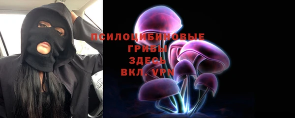 мдпв Новодвинск