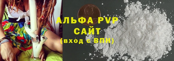 спайс Богданович