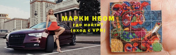 стаф Нефтегорск