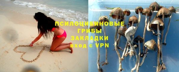 мдпв Новодвинск
