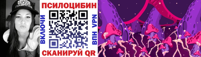 Галлюциногенные грибы Psilocybe  Козьмодемьянск 